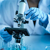 Giáo án Khoa học 4 sách Kết nối tri thức với cuộc sống (Học kì 1)