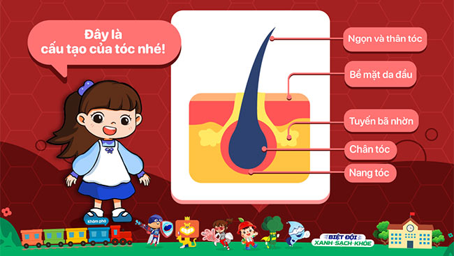 PowerPoint Tóc của chúng mình