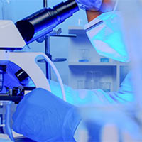 Giáo án Khoa học 4 sách Cánh diều (Học kì 2)