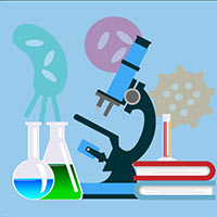 Giáo án Khoa học 4 sách Chân trời sáng tạo (Học kì 2)