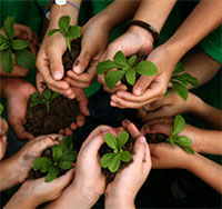 Giáo án Sinh hoạt dưới cờ lớp 7 tuần 20 chủ đề: Mừng Đảng mừng xuân