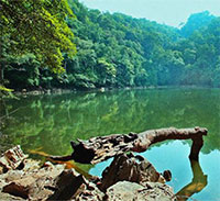 Giáo án Sinh hoạt dưới cờ lớp 7 tuần 23 chủ đề: Mừng Đảng mừng xuân