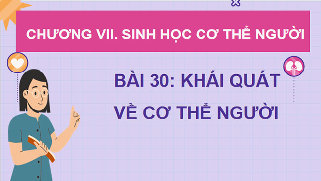  PowerPoint Sinh học 8 Kết nối tri thức