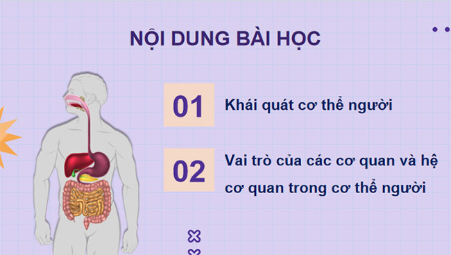  PowerPoint Sinh học 8 Kết nối tri thức