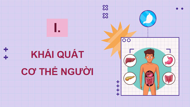  PowerPoint Sinh học 8 Kết nối tri thức