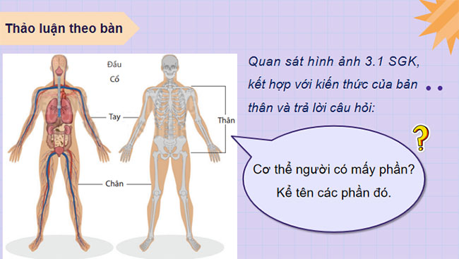 PowerPoint Sinh học 8 Kết nối tri thức