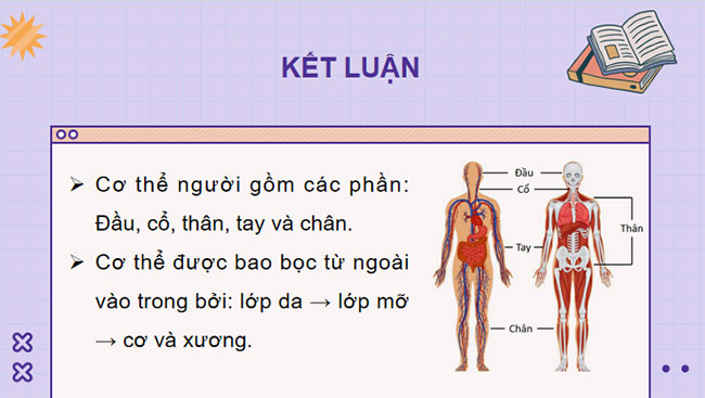 PowerPoint Sinh học 8 Kết nối tri thức