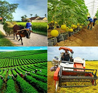 Giáo án Sinh hoạt dưới cờ lớp 7 tuần 28 chủ đề: Phát triển bền vững