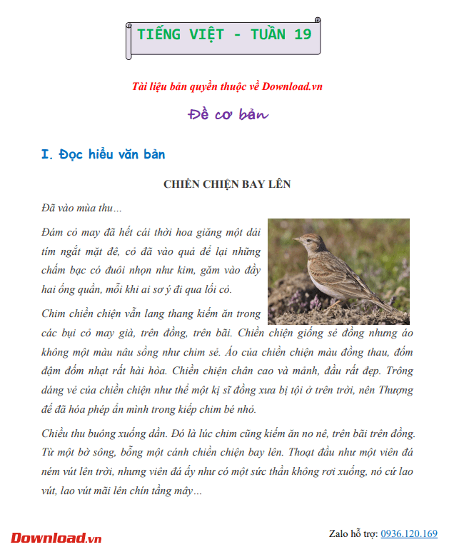 CTST5 Co ban Tuan 19 1*681197