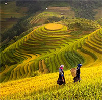 Giáo án Sinh hoạt dưới cờ lớp 4 tuần 21 chủ đề: Quê hương tươi đẹp