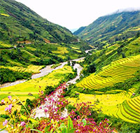 Giáo án Sinh hoạt dưới cờ lớp 4 tuần 22 chủ đề: Quê hương tươi đẹp