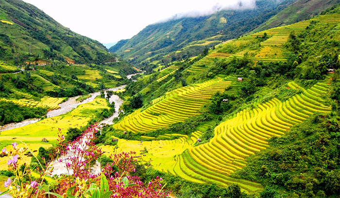 Giới thiệu cảnh quan thiên nhiên quê hương