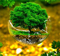 Giáo án Sinh hoạt dưới cờ lớp 4 tuần 23 chủ đề: Quê hương tươi đẹp