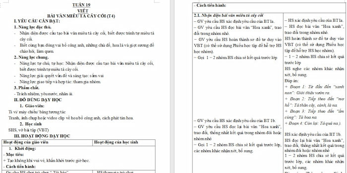 Giáo án Tiếng Việt 4: Nhận diện bài văn miêu tả cây cối