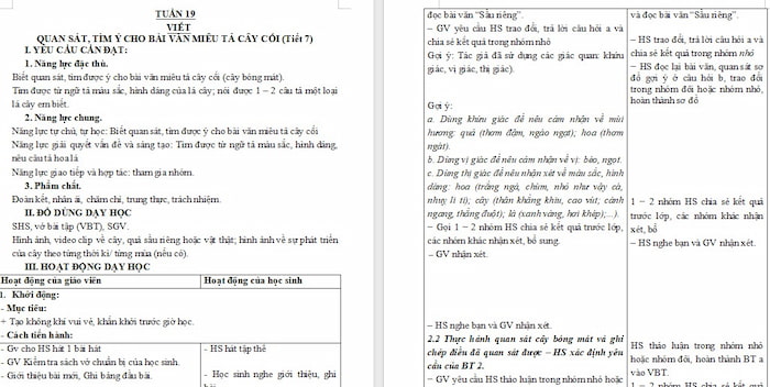 Giáo án Tiếng Việt 4: Quan sát, tìm ý cho bài văn miêu tả cây cối