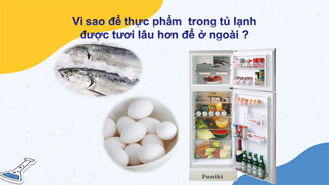 Các yếu tố ảnh hưởng đến tốc độ phản ứng hóa học