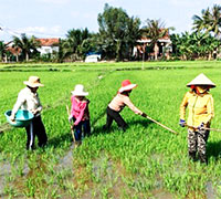 Giáo án Sinh hoạt dưới cờ lớp 6 tuần 20 chủ đề: Mừng Đảng mừng xuân