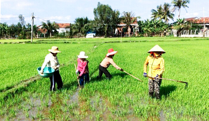 Chung tay xây dựng xã hội