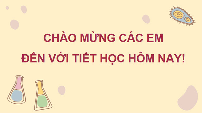 Bài 21: Khái quát về trao đổi chất và chuyển hóa năng lượng