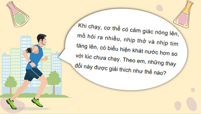 Bài 21: Khái quát về trao đổi chất và chuyển hóa năng lượng