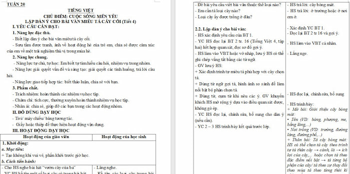 Giáo án Tiếng Việt 4: Lập dàn ý cho bài văn miêu tả cây cối