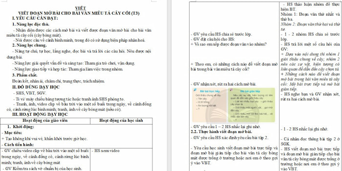 Giáo án Tiếng Việt 4: Viết đoạn mở bài cho bài văn miêu tả cây cối