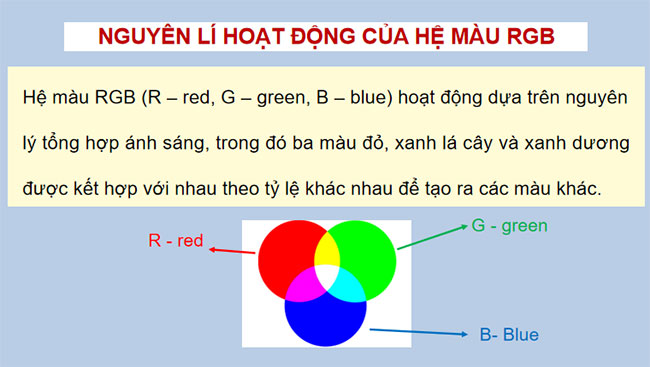 Bai 15 Tin hoc 12 KNTT 5*684801