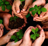 Giáo án Sinh hoạt dưới cờ lớp 3 tuần 29 chủ đề: Làm bạn với thiên nhiên