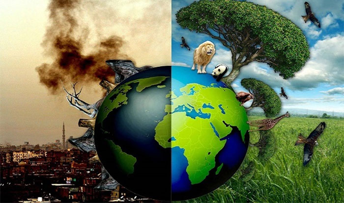 Phòng chống ô nhiễm môi trường