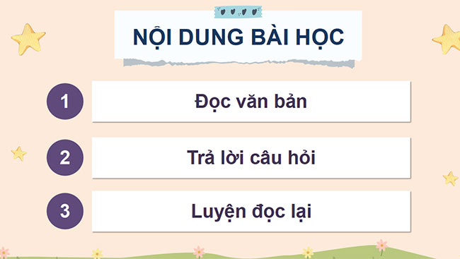 Tieng Viet 3 HK2 5*685454