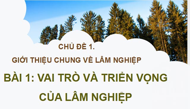 Cong nghe 12 KNTT HK1 1*685773