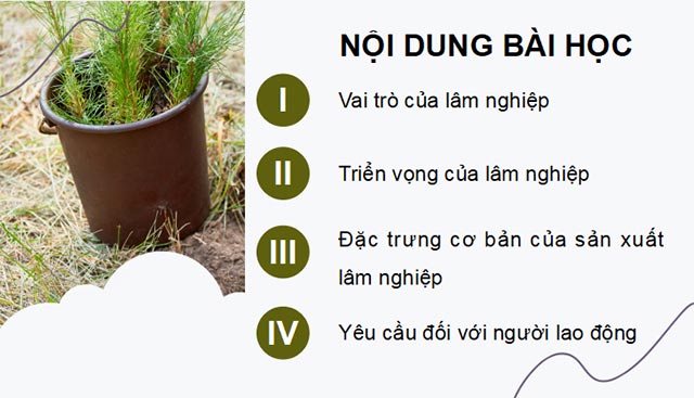 Cong nghe 12 KNTT HK1 2*685776