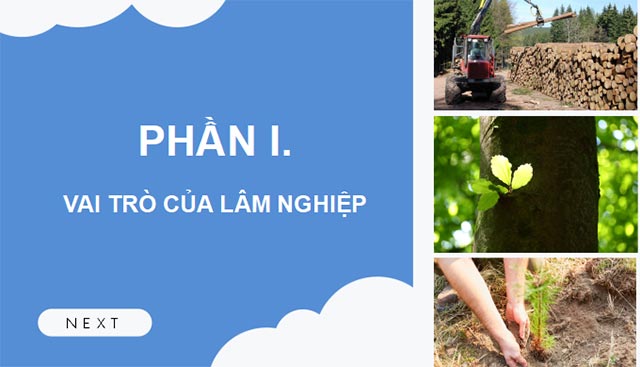 Cong nghe 12 KNTT HK1 3*685775