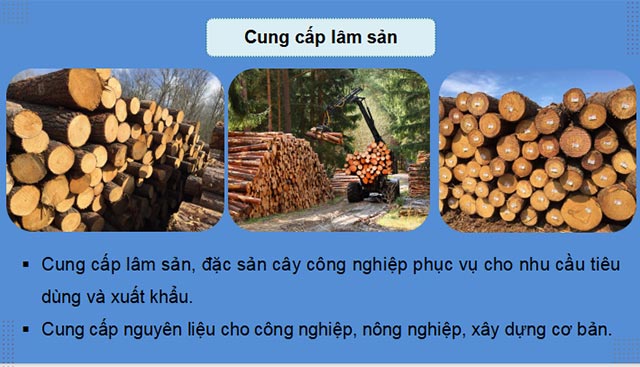 Cong nghe 12 KNTT HK1 5*685777