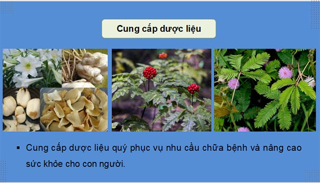 Cong nghe 12 KNTT HK1 6*685778