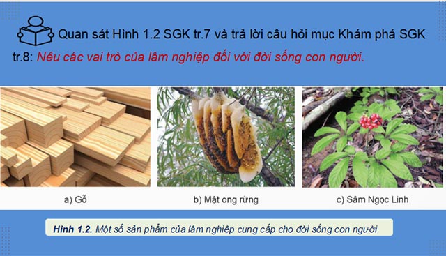 Cong nghe 12 KNTT HK1 7*685779