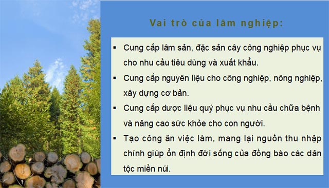 Cong nghe 12 KNTT HK1 8*685780