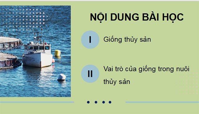 PPT Công nghệ 12 Lâm nghiệp Thủy sản Kết nối