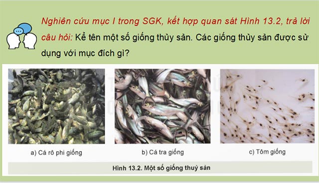 PPT Công nghệ 12 Lâm nghiệp Thủy sản Kết nối