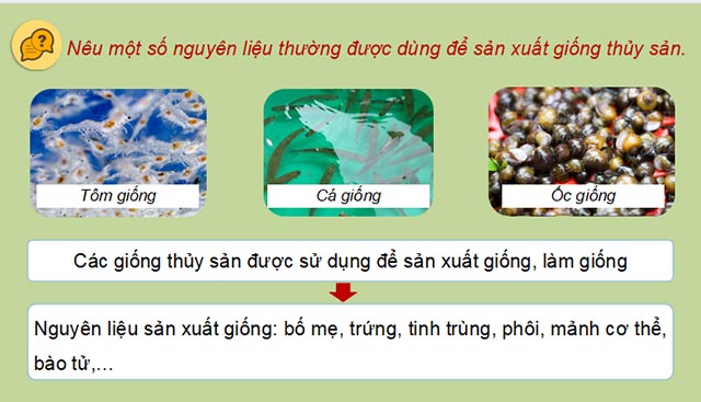 PPT Công nghệ 12 Lâm nghiệp Thủy sản Kết nối