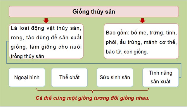 PPT Công nghệ 12 Lâm nghiệp Thủy sản Kết nối