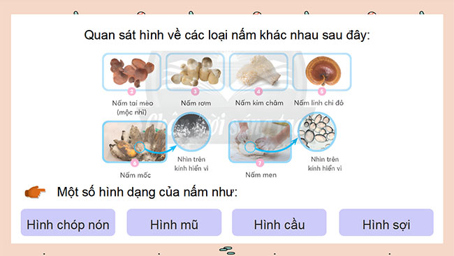 Khoa hoc 4 HK2 6*686085