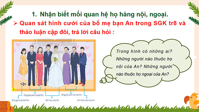 Giáo án PowerPoint Tự nhiên và xã hội 3