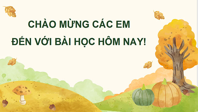 Tieng Viet day them HK2 1*685910