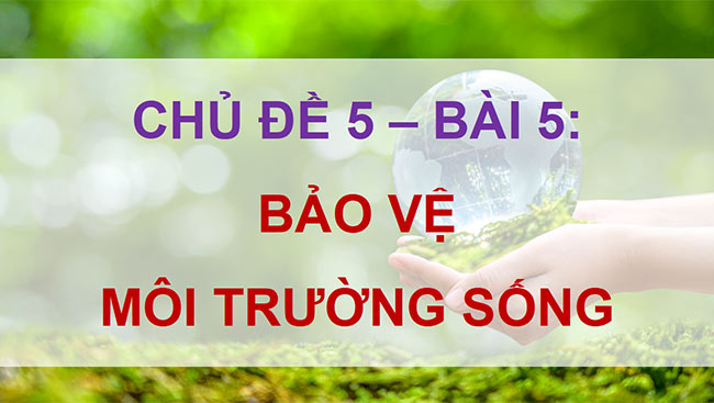 Dao duc 5 HK2 3*686320