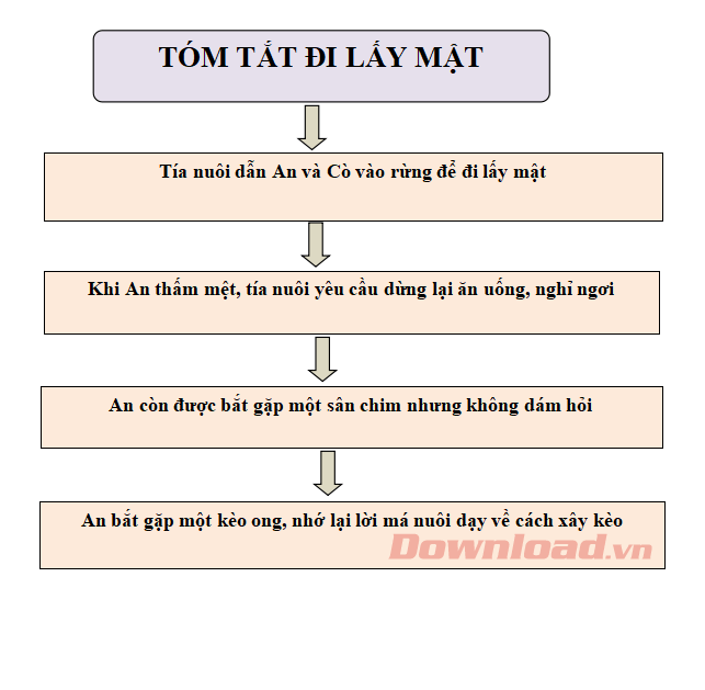 Tóm tắt văn bản Đi lấy mật 