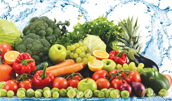 An toàn vệ sinh thực phẩm