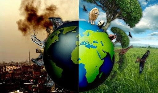 Chia sẻ kế hoạch bảo vệ cảnh quan địa phương