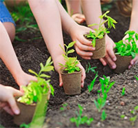 Giáo án Sinh hoạt dưới cờ lớp 2 tuần 9 chủ đề: Em yêu lao động