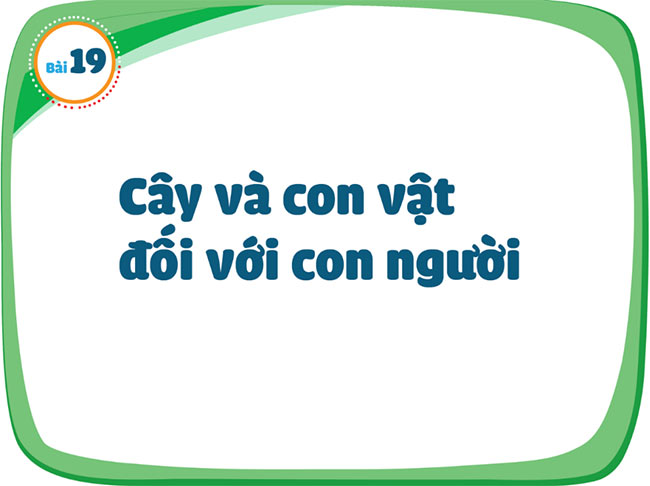 PPT TNXH HK2 3*687944